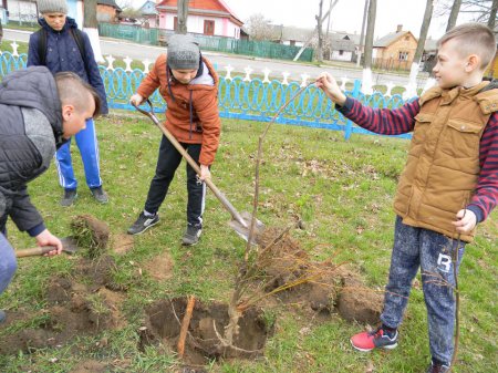 Екологія нашого міста: його чистота залежить від кожного з нас